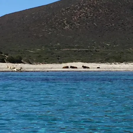 Ittiturismo S.croce Teulada