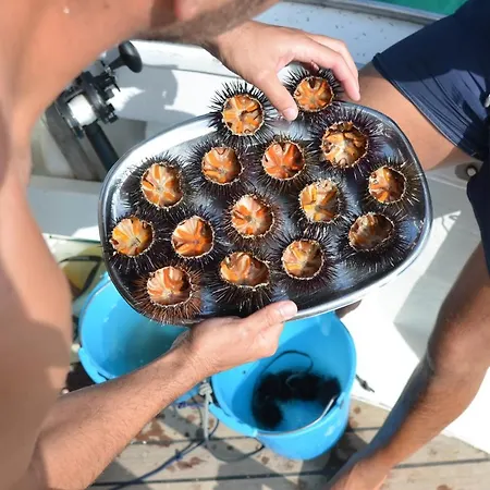 Ittiturismo S.croce Pensión