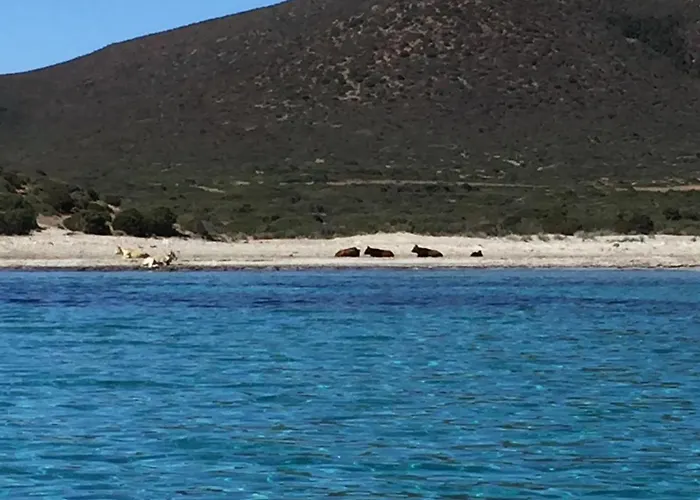 Ittiturismo S.croce Teulada